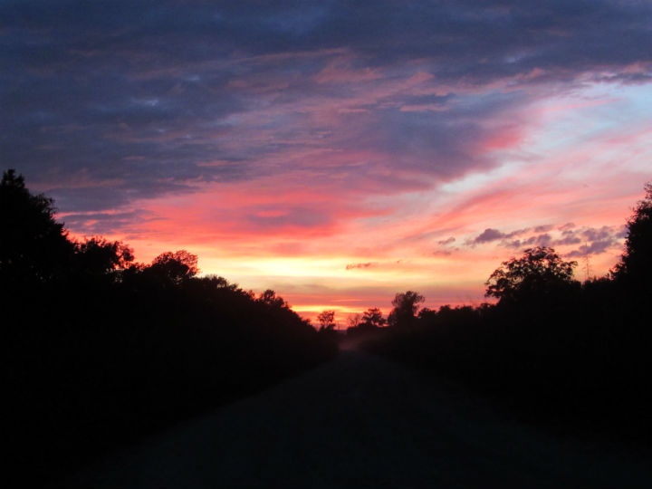 Snake Road Levee